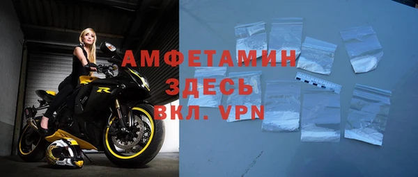 твердый Абаза