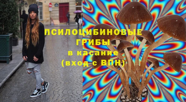 твердый Абаза