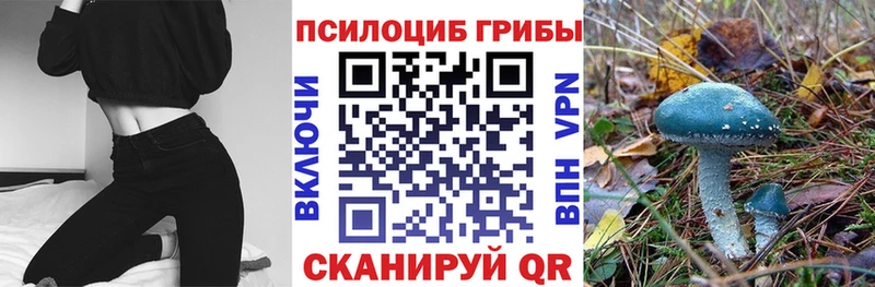 Галлюциногенные грибы Psilocybe Лангепас